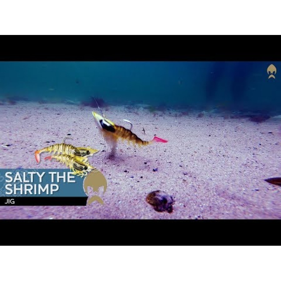 Σιλικόνης Westin Salty The Shrimp Jig