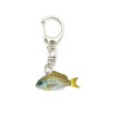 Little Jack Micro Charikom Keychain