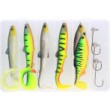 Westin Pike Box Cast &amp; Jig Set