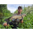 Pește de pescuit Sea Buzz Chub Bug Wobbler