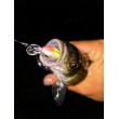 Pește de pescuit Sea Buzz Chub Bug Wobbler