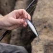 Воблер Precision Xtreme Air Boss Saltwater