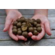 DB Hot Fish & GLM boilies