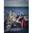 Ταλαντωτής λεπίδας V-Blade Rapala