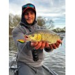 Wobbler Shadow Rap Fat Jack