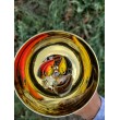 Pește de pescuit Sea Buzz Chub Bug Wobbler