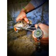 Pește de pescuit Sea Buzz Chub Bug Wobbler