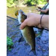 Pește de pescuit Sea Buzz Chub Bug Wobbler
