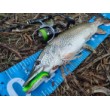 Силикон Westin BullTeez Curltail