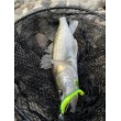 Силикон Westin BullTeez Curltail