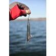 Ταλαντωτής Rapala Flash-X Dart