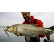 Воблер Rapala Precision Xtreme Pencil