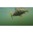 Воблер Rapala Precision Xtreme Pencil