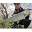 Minnow wobbler - βύθιση