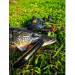 Бейткастинг макара Okuma Komodo SS