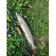 Filstar Silver Shadow EVO