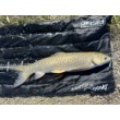 FilStar Compact Mat KK, 35-1 μέτρο μήκος, με λάστιχο απελευθέρωσης