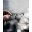Wobbler Rapala X-Light Minnow