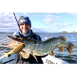 Wobbler Rapala Super Shadow Rap Glide