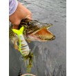 Wobbler Rapala Super Shadow Rap Glide