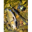 Въдица FilStar Venom River Crank