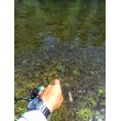 Въдица FilStar Venom River Crank