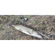Въдица FilStar Venom River Crank
