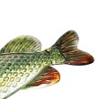 Декорация за стена EuroCatch 3D щука