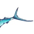 Wall Decoration EuroCatch 3D Marlin