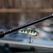 Τζιτζίκι Rapala Rippin' Blade