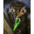 Momeală Westin CreCraw Slim Creaturebait din silicon