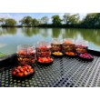 Gantere Double Trouble Wafters FilStar Premium pentru hrănirea crapilor