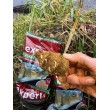 FilStar Feed Formaggio River