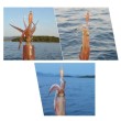 Калмарка DTD Soft Real Fish