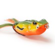 DLT SwampSkipper
