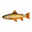 Cushion - Brown Trout