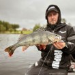 Rapala Crushcity The Kickman din silicon