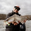 Rapala Crushcity The Kickman din silicon