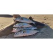 Воблер Sea Buzz Panic Tail 95F