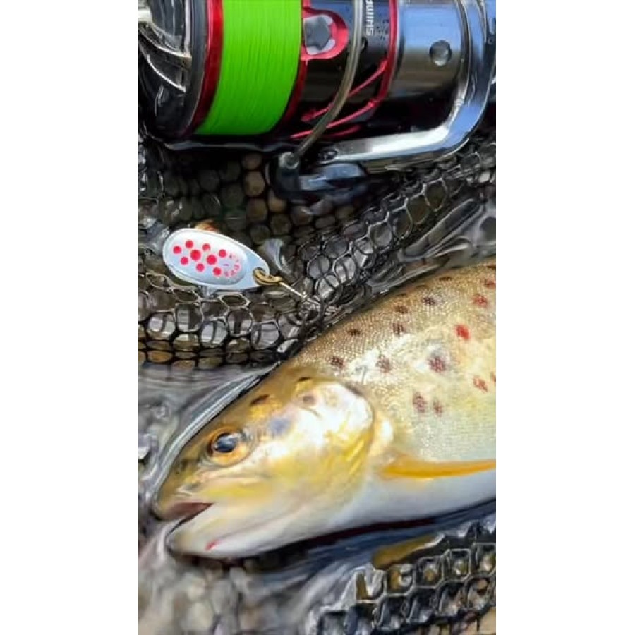Filstar 365 Trout Spin Evo