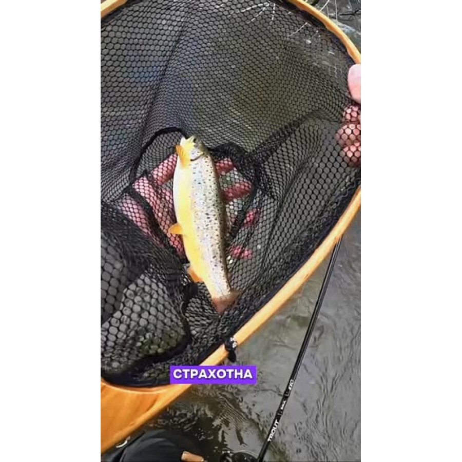 Filstar 365 Trout Spin Evo