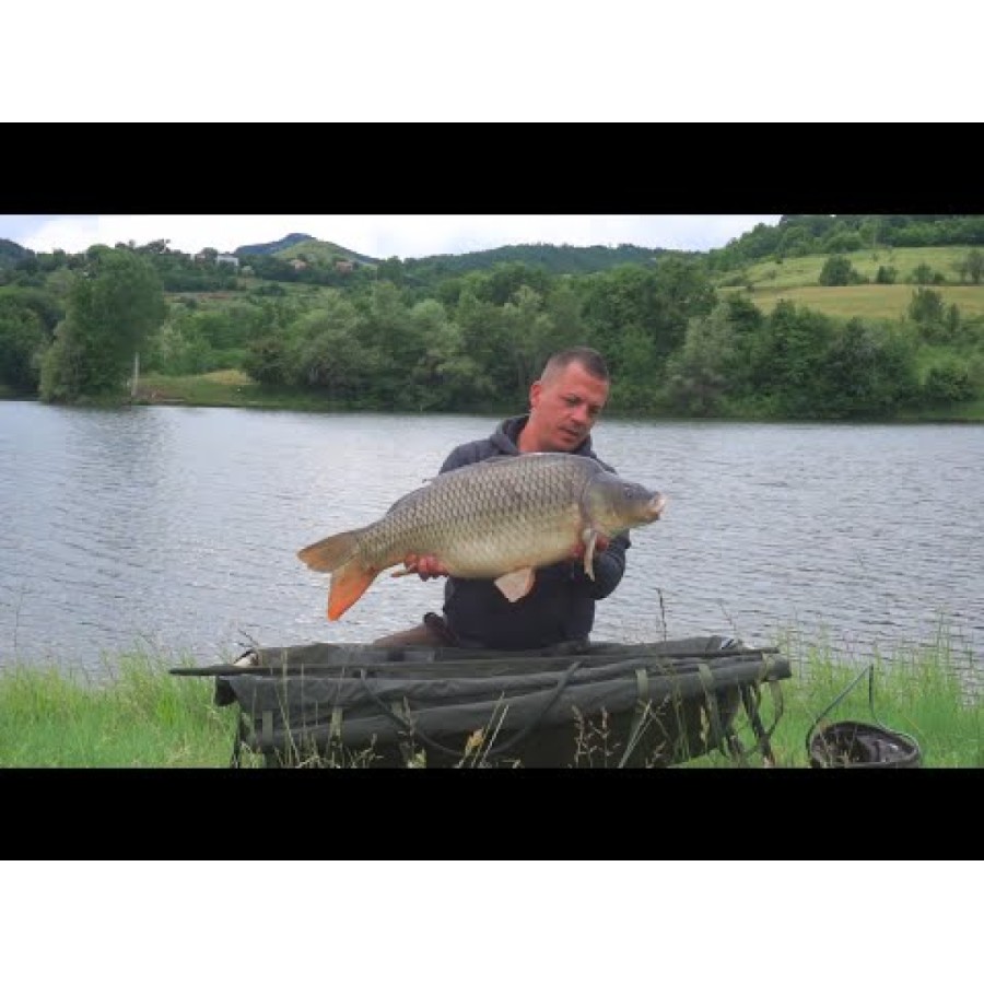 Momeli pentru cârlig FilStar Premium Carp Balls
