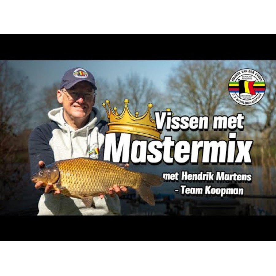 Mastermix VDE