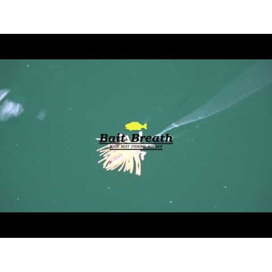Bait Breath - No Look Bug