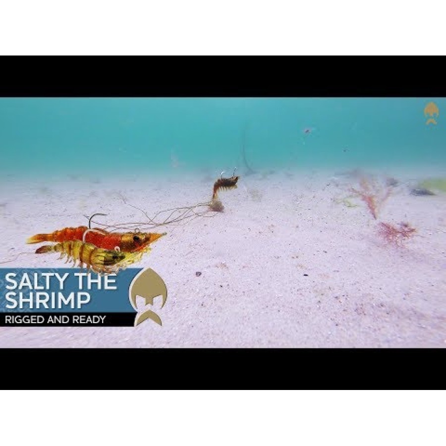 Силикон Westin Salty The Shrimp R'N R