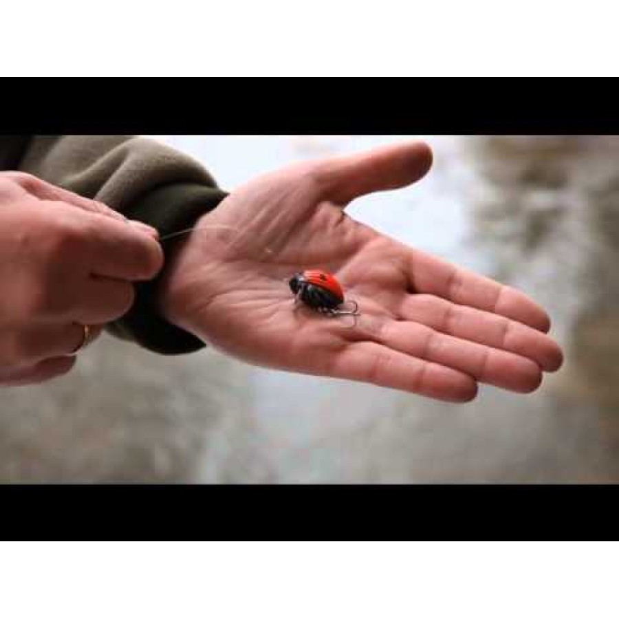 Balansoar Lil`Bug - plutitor