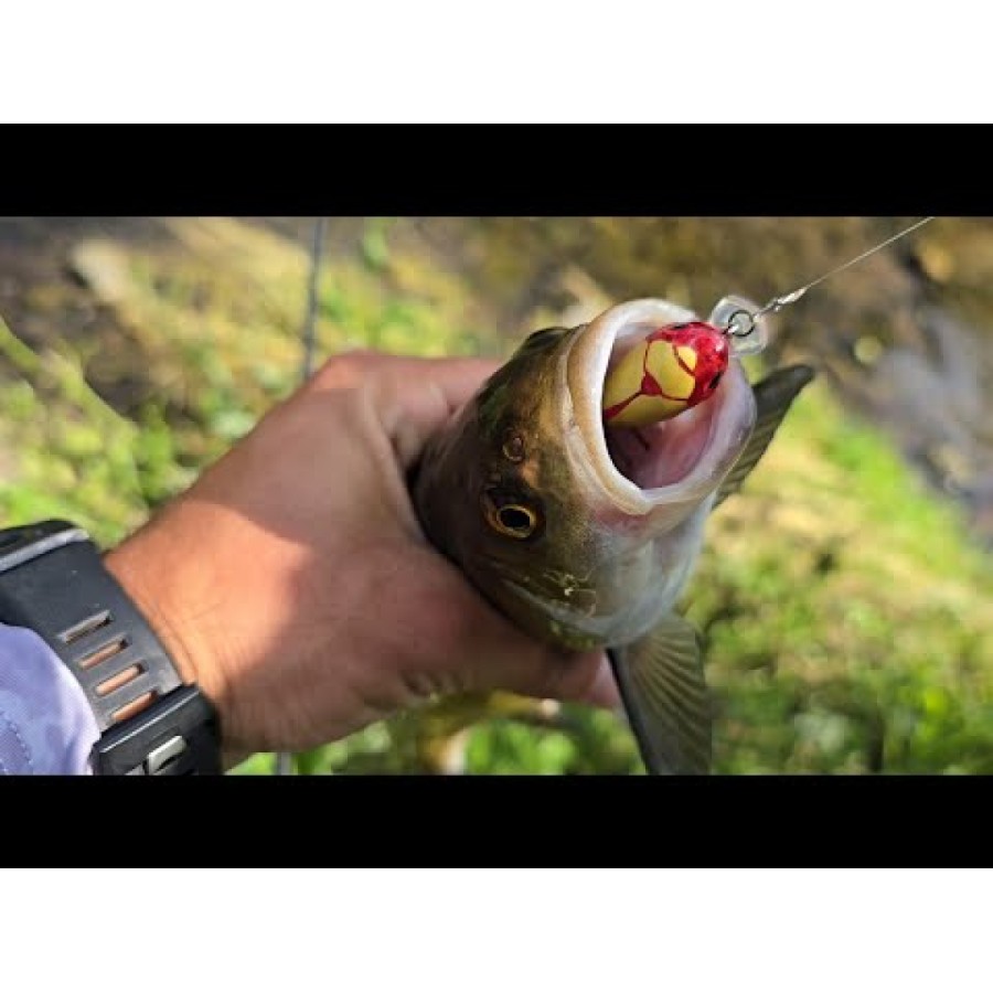 Pește de pescuit Sea Buzz Chub Bug Wobbler