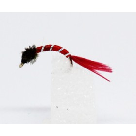 English nymphs