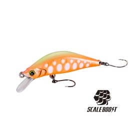 Shimano ZN-245X Cardif Refrai
